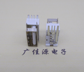 西藏USB侧立式短体10.0尺寸 侧插加宽脚5A大电流插座