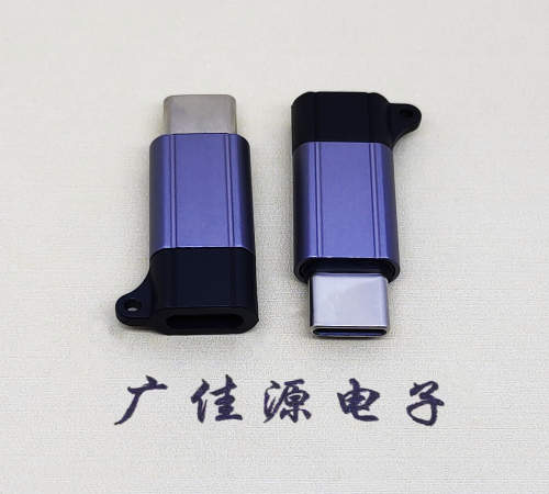 西藏Type-C母转Type-C公 USB3.1 PD100W快冲接口